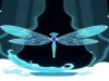 Dragonfly Capital Seeks $500M for New Crypto Fund